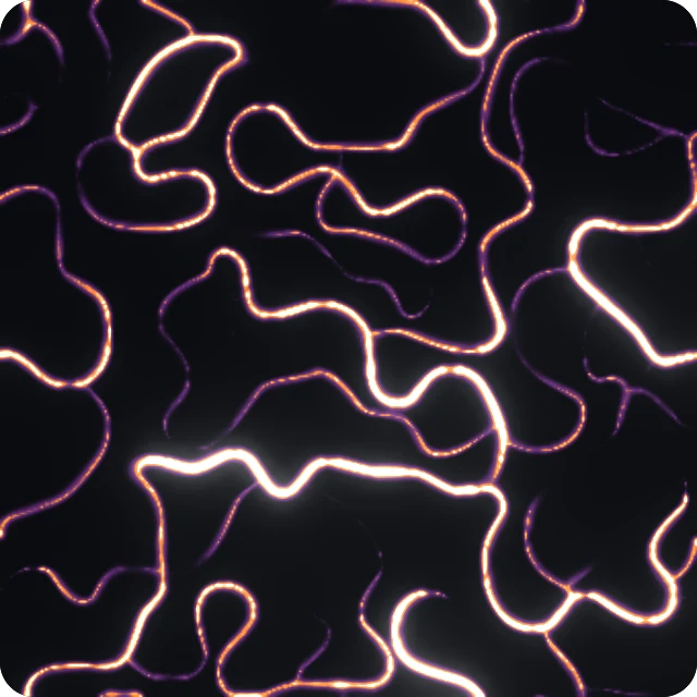 Mycelium Metal shader for SwiftUI